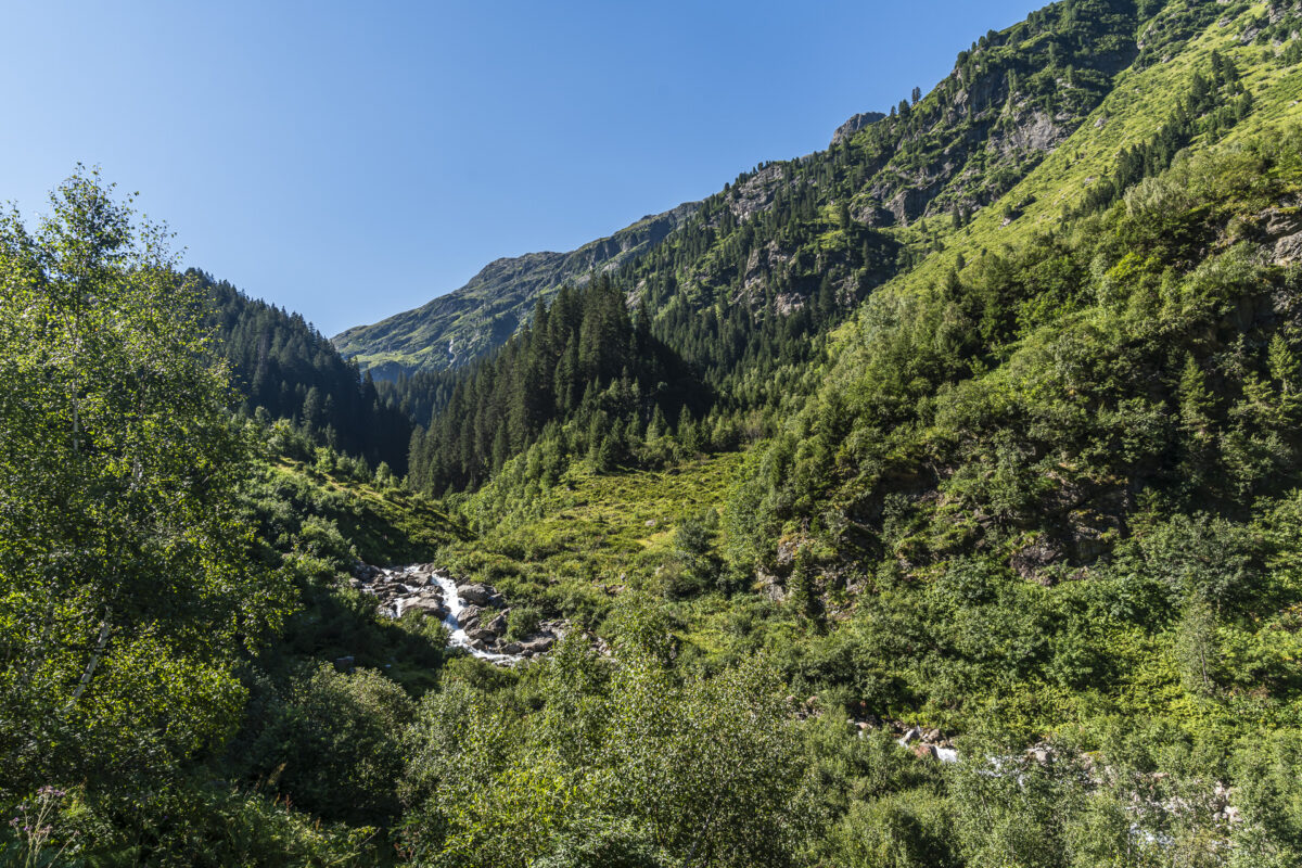 Landschaft im Vereinatal