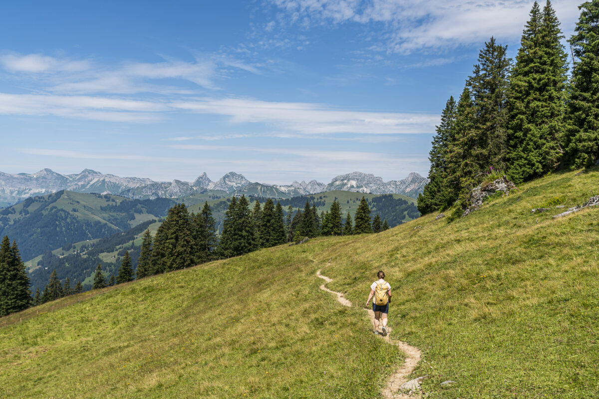 Wanderung nach Saanenmöser