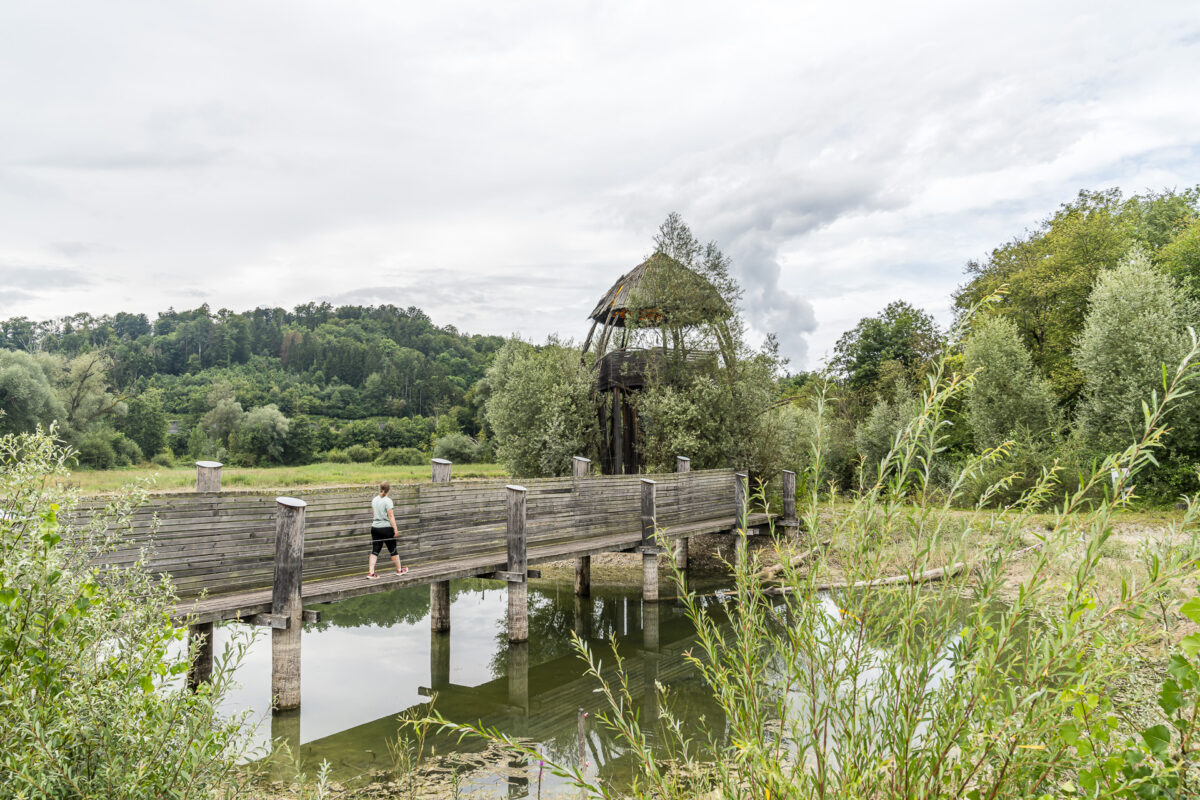 Aussichtsturm Aue Chly Rhy