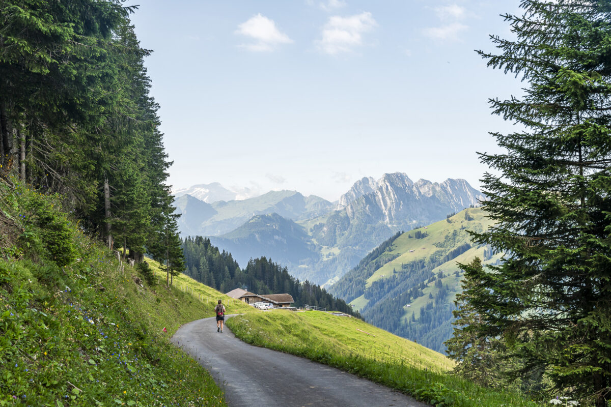 Wanderung von Mittelberg zur Bire