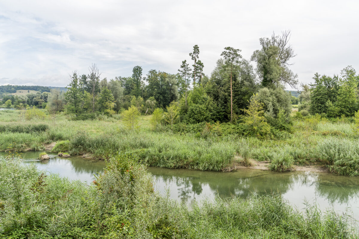 Auenlandschaft Chly Rhy