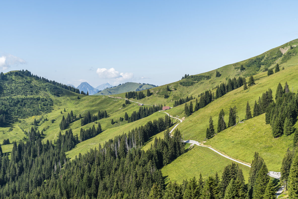 Wandern im Saanenland