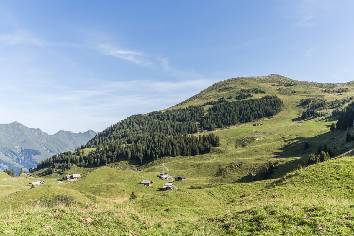 Sommer auf der Elsigenalp