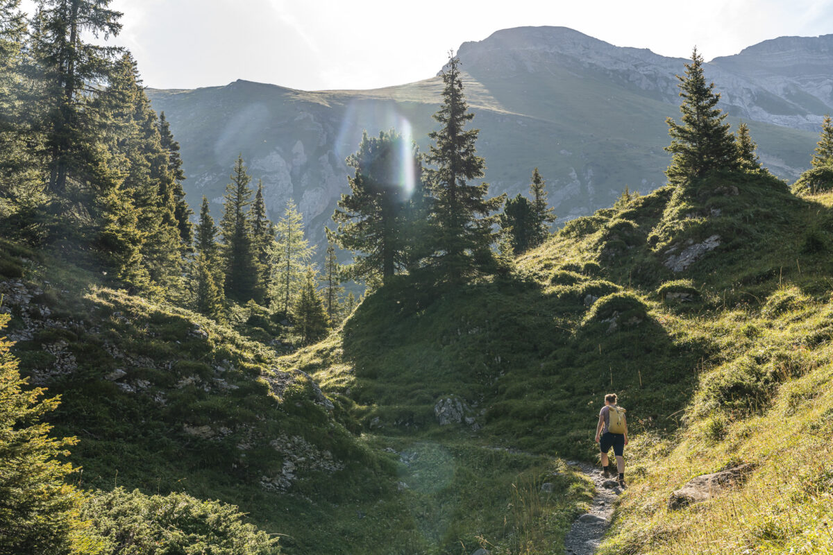 Rundweg ums Elsigseeli