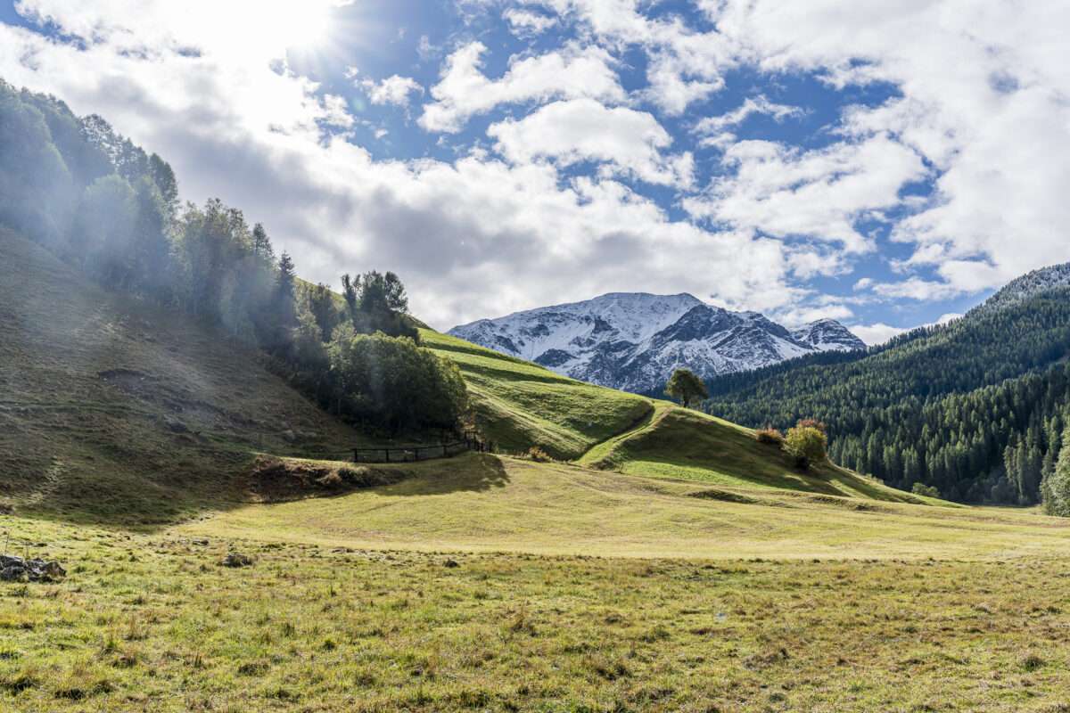 Münstertal Landschaft