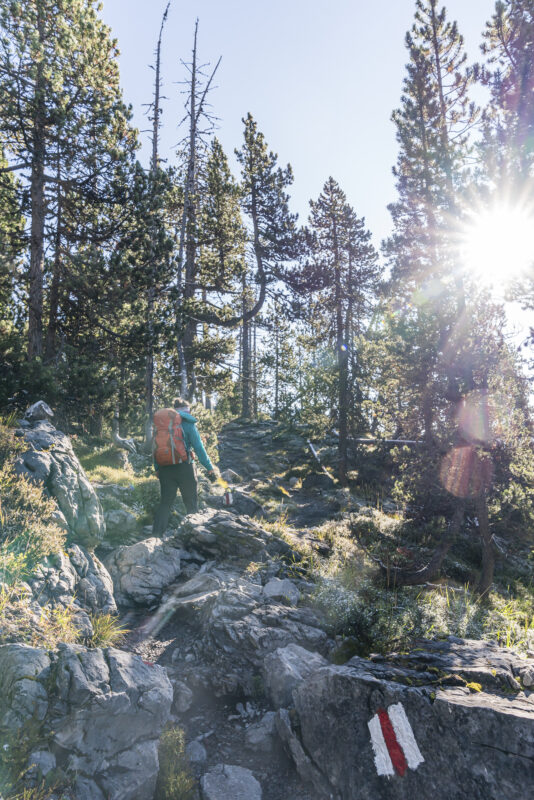 Wanderweg ab Ofenpass