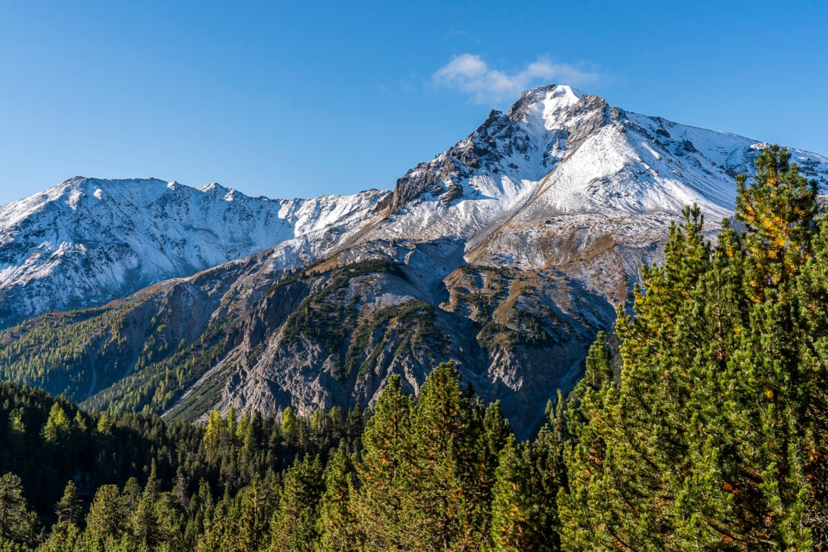 Landschaft Nationalpark Schweiz