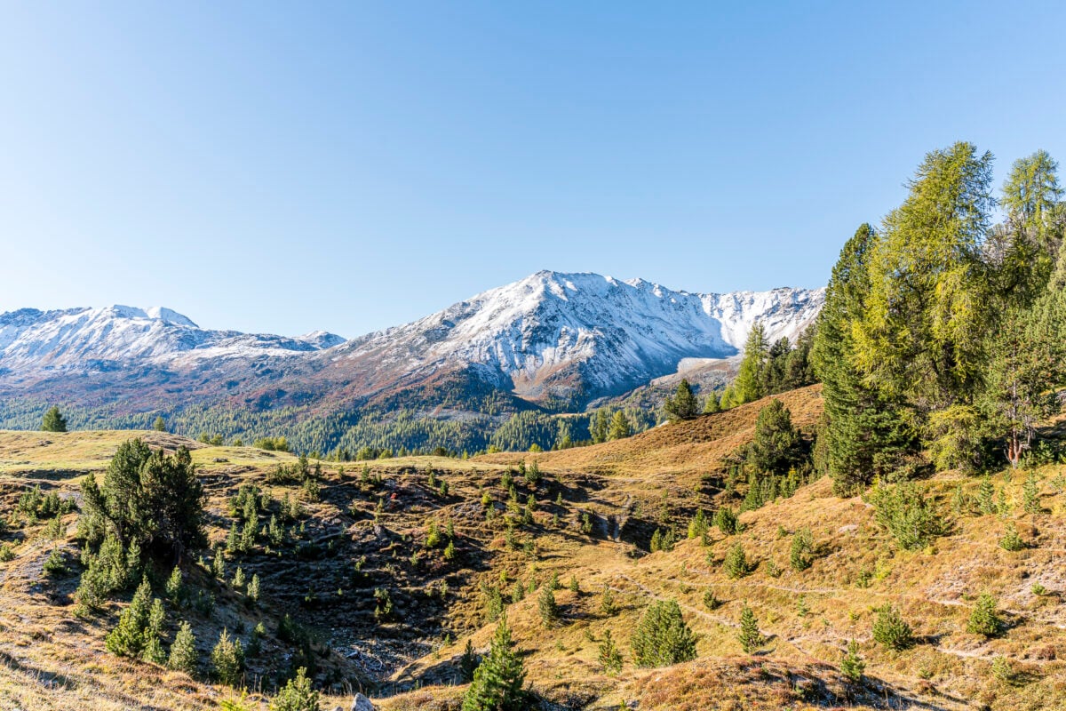 Landschaft im Münsteral