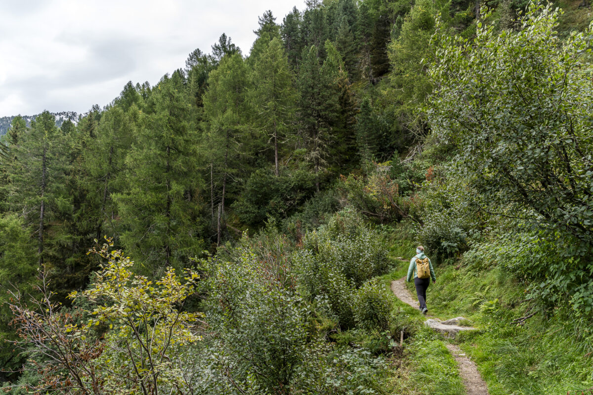 Wandern in Latsch VInschgau