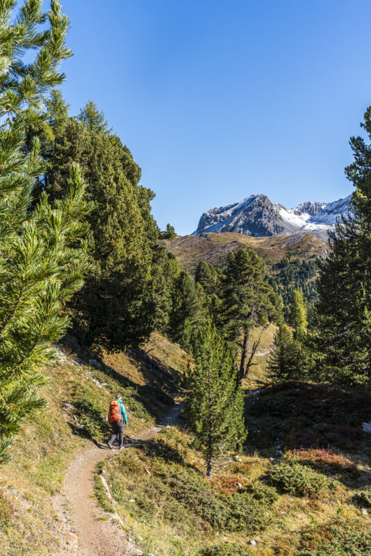 Alp Champatsch im Herbst