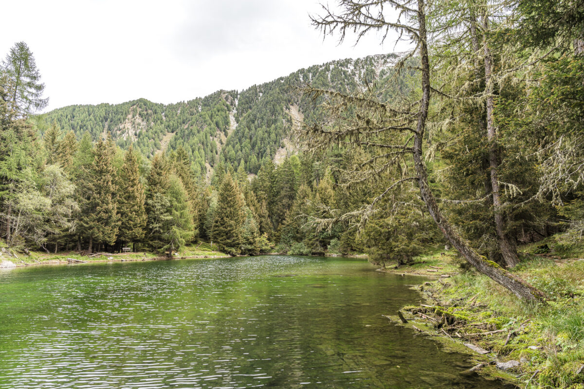 Tarscher See bei Latsch