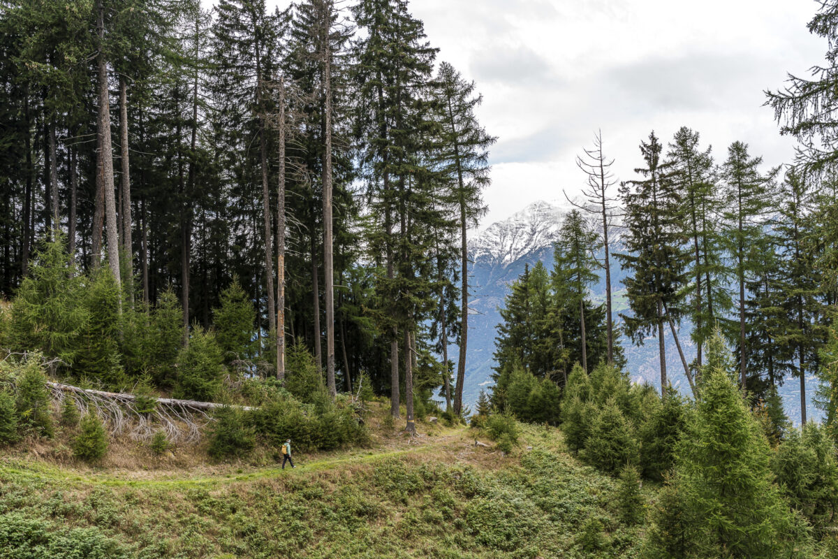 Wandern im Vinschgau