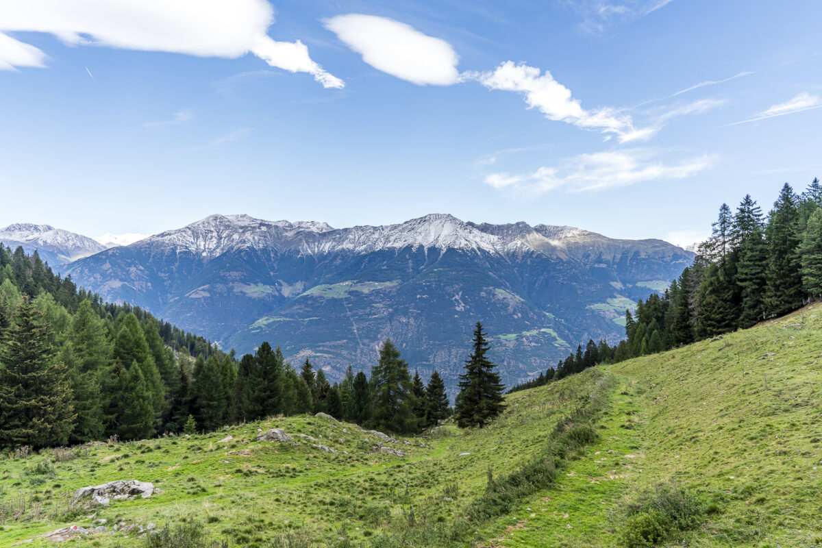 Aussicht auf der Latscher Alm