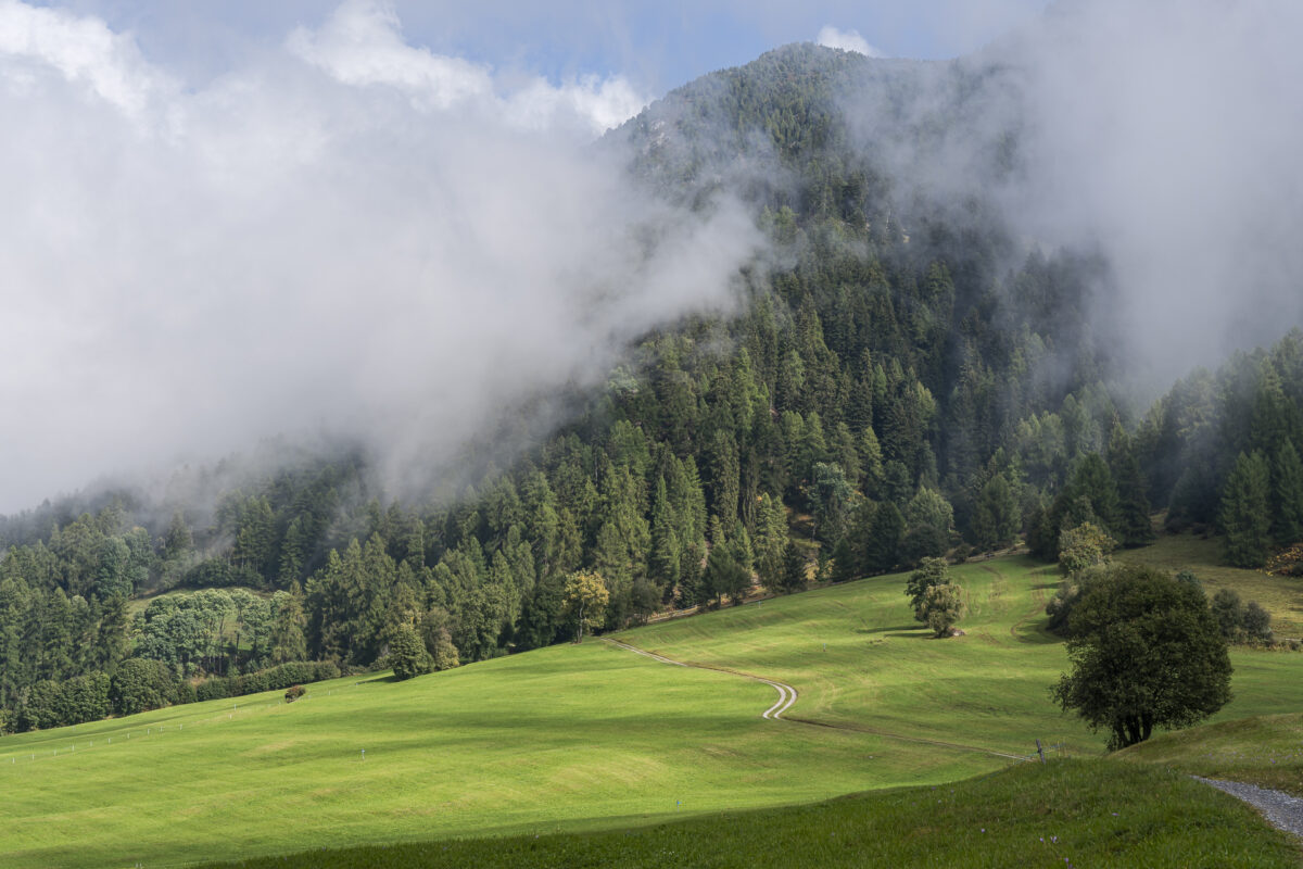 Herbst im Münstertal