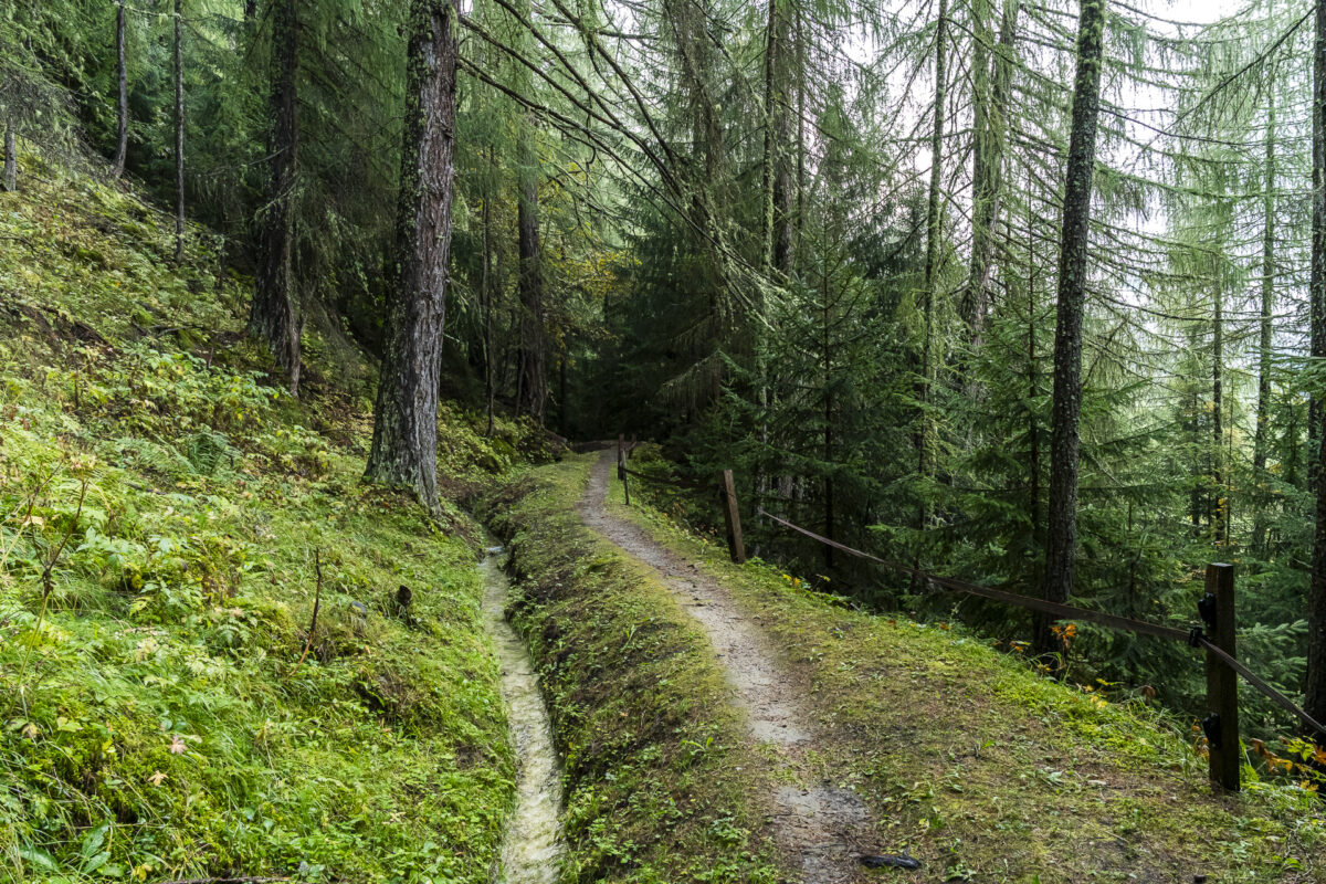 Bewässerungskanal im Münstertal