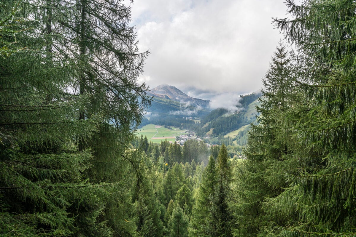 Blick auf Sta. Maria