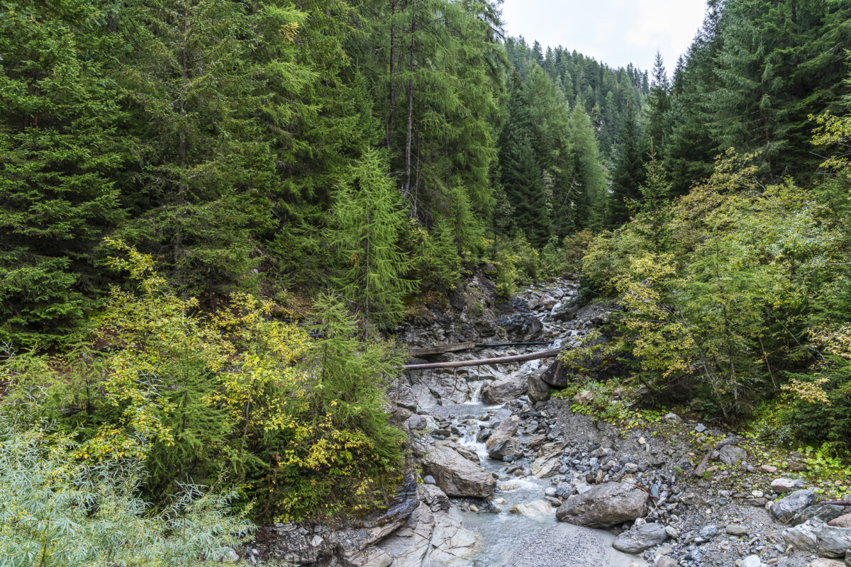 Bachtobel im Münstertal