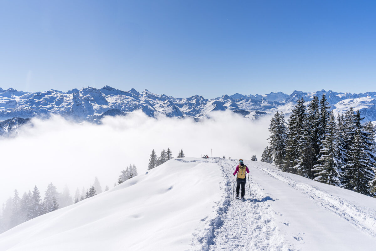 Schneeschuhtrail Furggelenstock-Holzegg