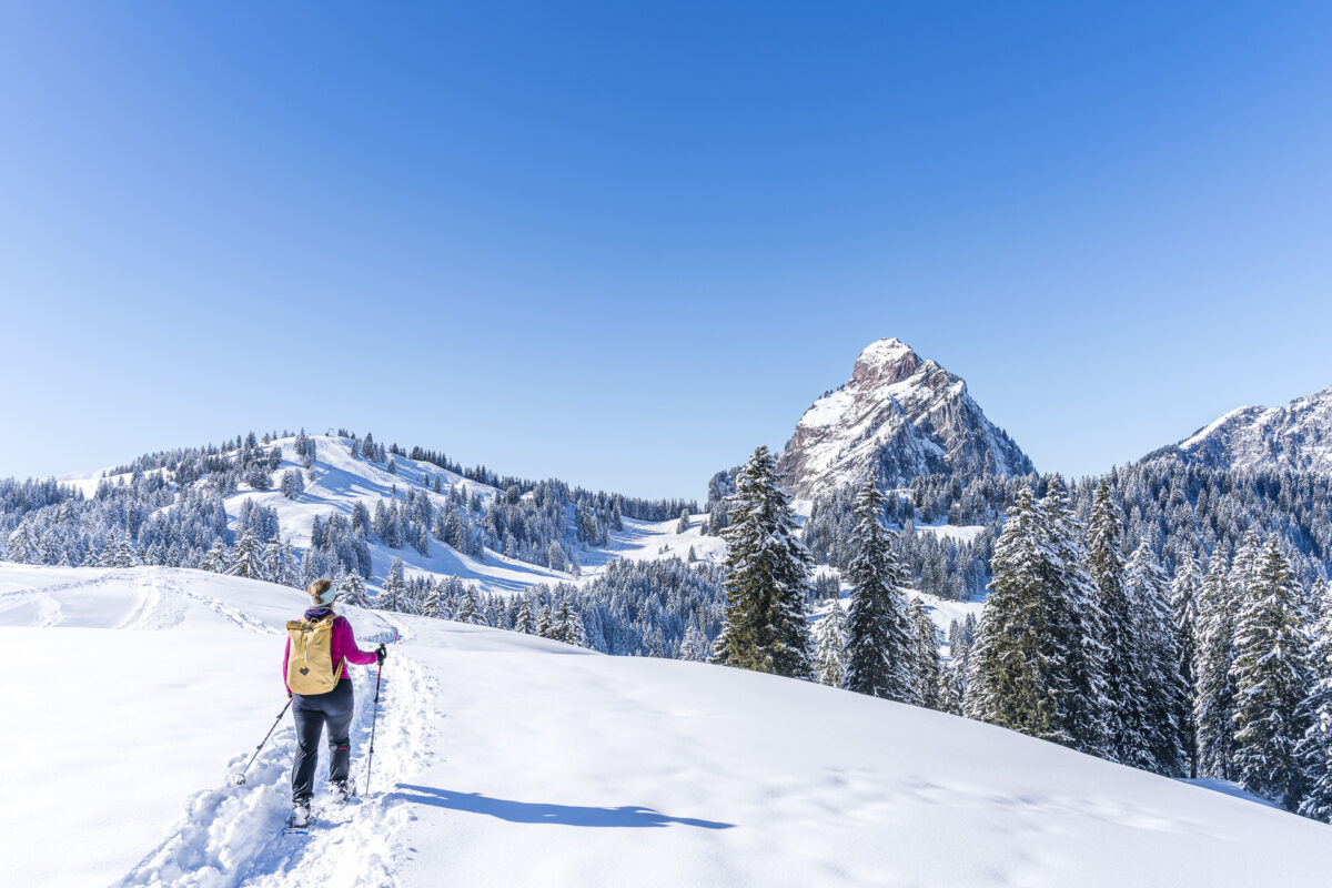 Schneeschuhwanderung Holzegg