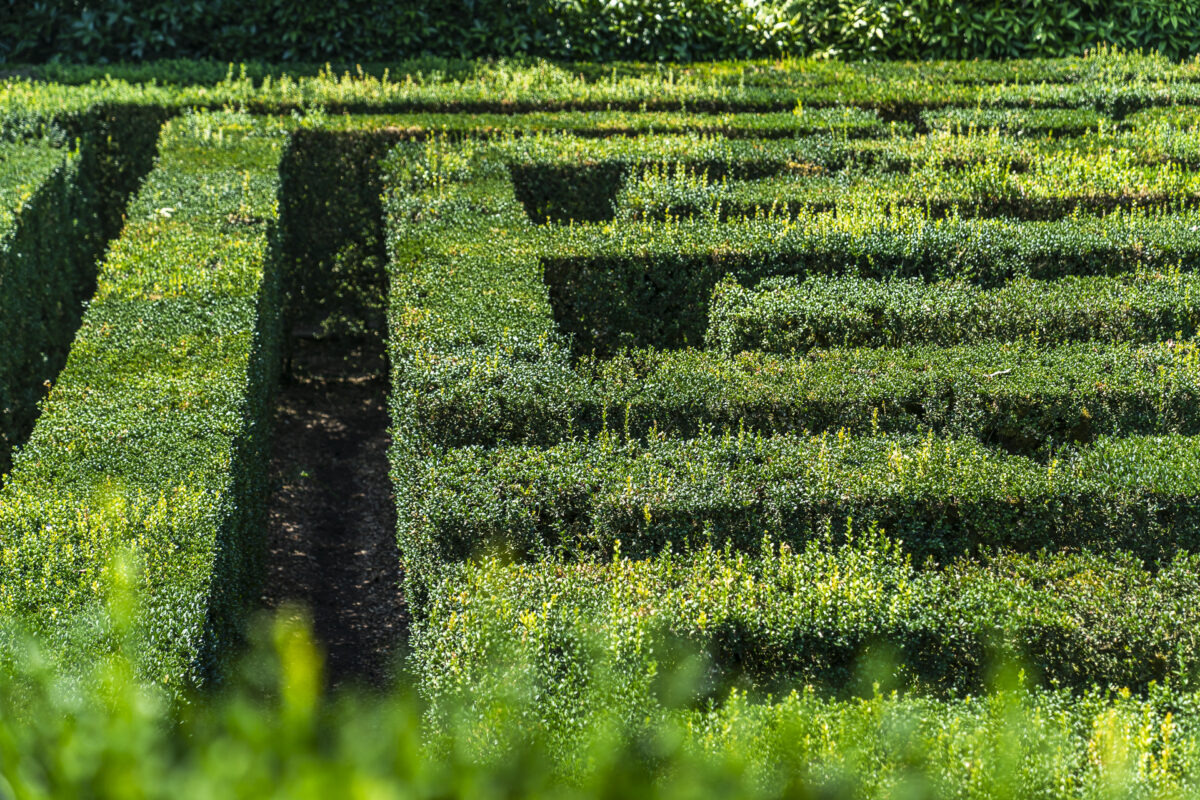 Labyrinth in der Villa Barbarigo