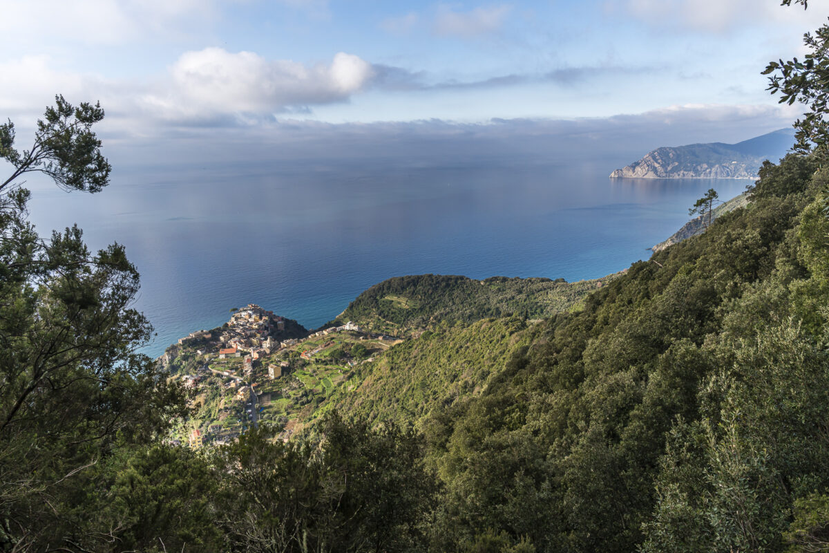 Blick auf Corniglia