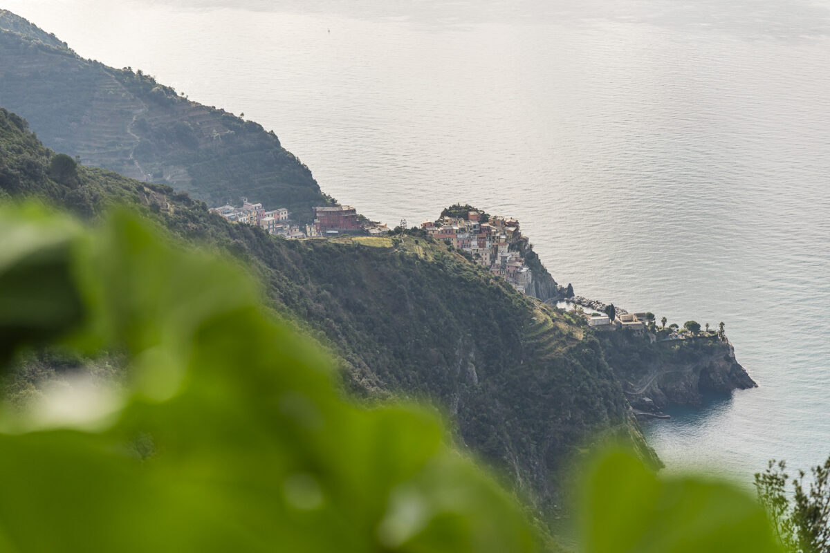 Blick auf Manarola