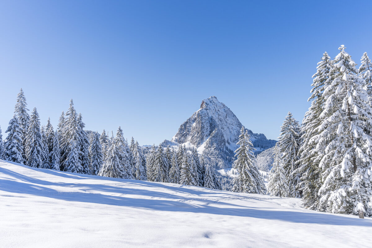 Panorama Furggelen-Schneeschuhtrail