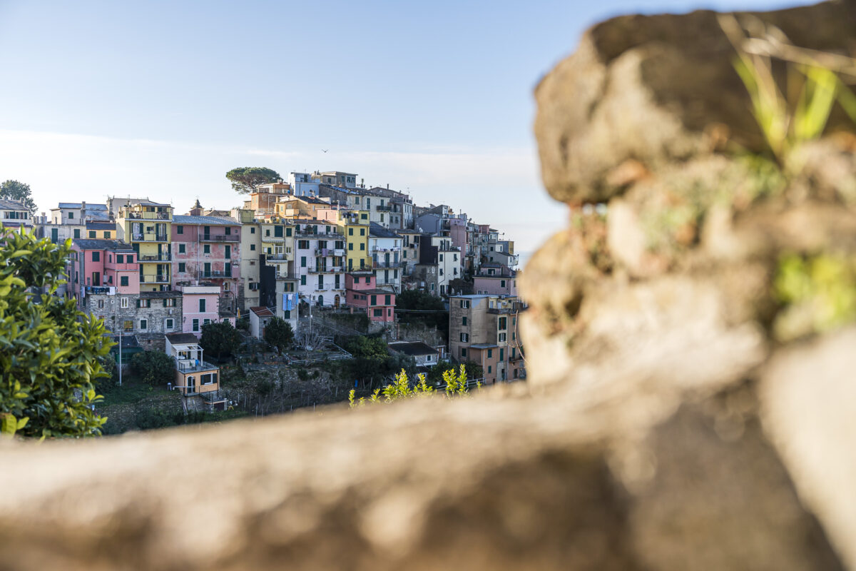 Blick auf Corniglia