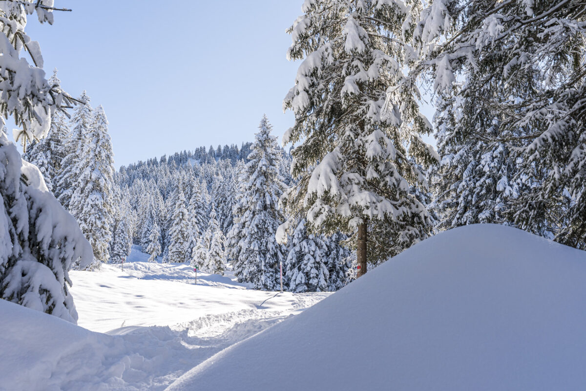 Furggelen Schneeschuhtrail