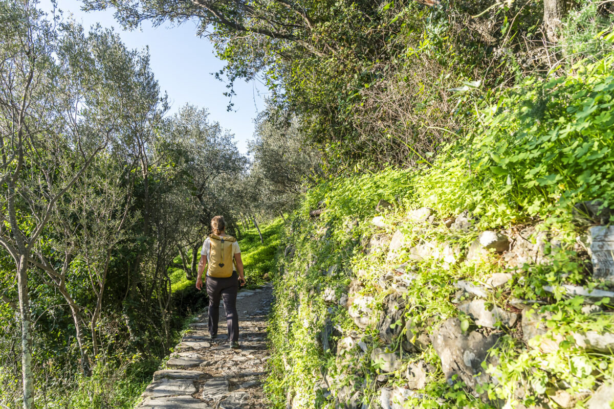 Wanderweg Corniglia Vernazza