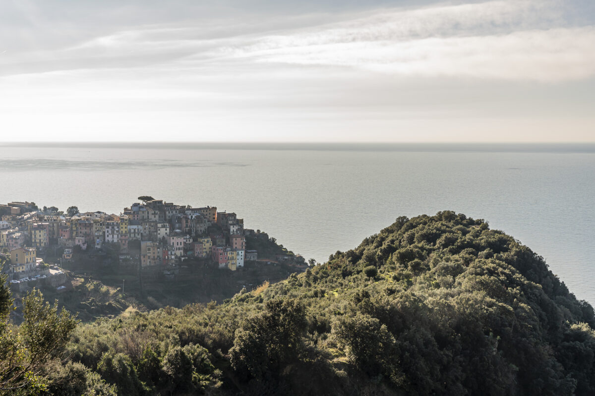 Blick auf Corniglia